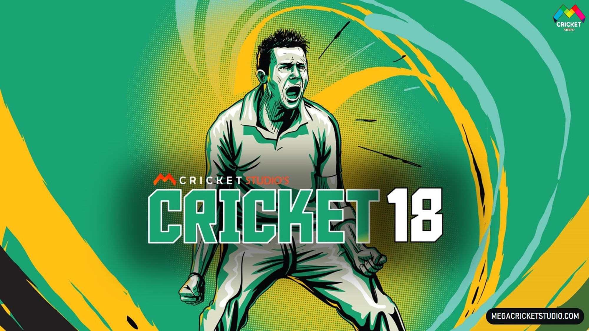 cricket 18 overlays
